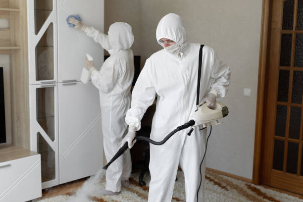 24/7 Emergency Odor Removal experts in Oakland, MD